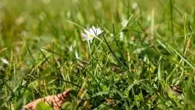 Jesienne klimaty w Pięknej Górze, jezioro Kisajno - zdjęcie 7