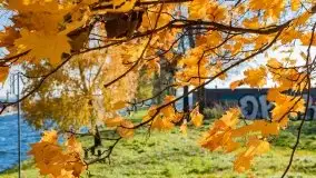 Kanał Łuczański w barwach jesieni, październik 2021 r. - zdjęcie 6