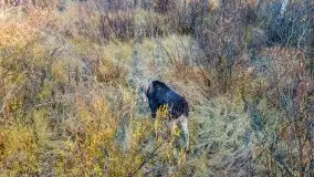 Wschód słońca nad jeziorem Kruklin, październik 2021 r. - zdjęcie 14