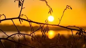 Wschód słońca nad jeziorem Kruklin, październik 2021 r. - zdjęcie 83