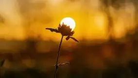 Wschód słońca nad jeziorem Kruklin, październik 2021 r. - zdjęcie 84