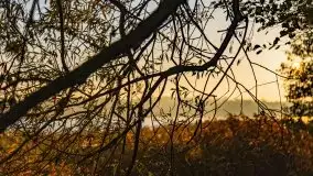 Wschód słońca nad jeziorem Kruklin, październik 2021 r. - zdjęcie 62