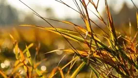 Wschód słońca nad jeziorem Kruklin, październik 2021 r. - zdjęcie 75