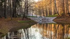 Las miejski w Giżycku pod koniec jesieni, listopad 2021 r. - zdjęcie 34