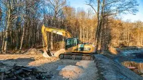 Las miejski w Giżycku pod koniec jesieni, listopad 2021 r. - zdjęcie 44