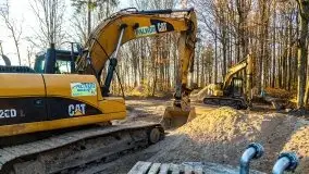 Las miejski w Giżycku pod koniec jesieni, listopad 2021 r. - zdjęcie 24