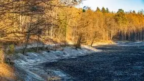 Las miejski w Giżycku pod koniec jesieni, listopad 2021 r. - zdjęcie 19