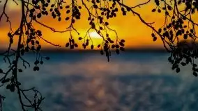 Wschód słońca nad jeziorem Święcajty, listopad 2021 r. - zdjęcie 9