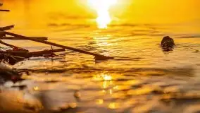 Wschód słońca nad jeziorem Święcajty, listopad 2021 r. - zdjęcie 21