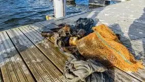 Fotorelacja z sprzątania dna w Ekomarinie Giżycko - zdjęcie 50