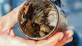 Fotorelacja z sprzątania dna w Ekomarinie Giżycko - zdjęcie 48