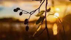 Zachód słońca nad jeziorem Tajty, widoczny z Pięknej Góry - zdjęcie 25