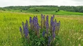 Tata na Mazury, czyli ojcowe z dziećmi w 2021 roku - zdjęcie 55