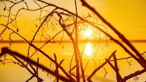 Grudniowy wschód słońca nad jeziorem Niegocin - zdjęcie 20