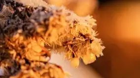 Grudniowy wschód słońca nad jeziorem Niegocin - zdjęcie 52