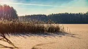 Grudniowy, zimowy port w Sztynorcie - zdjęcie 6