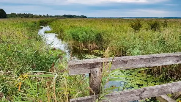 Zdjęcia: Niezapomniane Wyprawy - Pętla Mazurska w wykonaniu Marka - zdjęcie 8