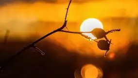 Grudniowy zachód słońca nad jeziorem Kisajno 2021 - zdjęcie 26