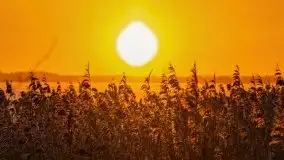 Wschód słońca nad jeziorem Niegocin, krzyż św. Brunona - zdjęcie 16