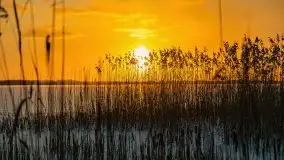 Wschód słońca nad jeziorem Niegocin, krzyż św. Brunona - zdjęcie 13