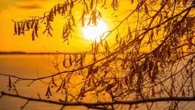 Wschód słońca nad jeziorem Niegocin, krzyż św. Brunona - zdjęcie 40