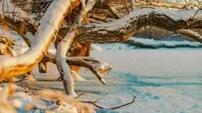 Wschód słońca nad jeziorem Niegocin, krzyż św. Brunona - zdjęcie 34