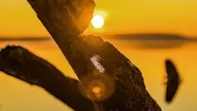 Styczniowy zachód słońca nad jeziorem Święcajty, 2022 r. - zdjęcie 36