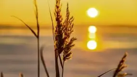 Styczniowy zachód słońca nad jeziorem Święcajty, 2022 r. - zdjęcie 43