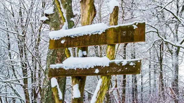 Księżycowy Dworek i jezioro Siercze w okowach zimy - zdjęcie 10