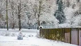 Księżycowy Dworek i jezioro Siercze w okowach zimy - zdjęcie 21