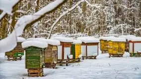 Księżycowy Dworek i jezioro Siercze w okowach zimy - zdjęcie 28