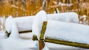 Księżycowy Dworek i jezioro Siercze w okowach zimy - zdjęcie 14