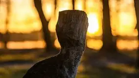 Wschód słońca nad jeziorami Boczne i Niegocin, styczeń 2022 r. - zdjęcie 63