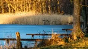 Wschód słońca nad jeziorami Boczne i Niegocin, styczeń 2022 r. - zdjęcie 44