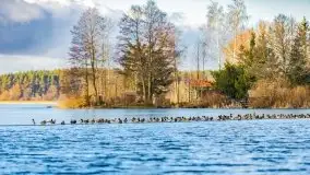 Słoneczny styczeń 2022 nad jeziorami Świętajno i Dworackie - zdjęcie 22