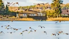 Słoneczny styczeń 2022 nad jeziorami Świętajno i Dworackie - zdjęcie 17