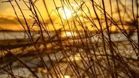 Styczniowe słońce, jezioro Dargin i kra... - zdjęcie 10