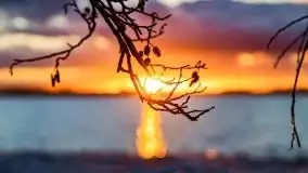 Styczniowe słońce, jezioro Dargin i kra... - zdjęcie 35