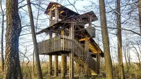 Wieża widokowa nad jeziorem Łuknajno - zdjęcie 14