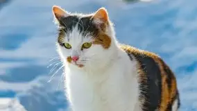 Zimowa Stranda i jezioro Kisajno, styczeń 2022 r. - zdjęcie 29