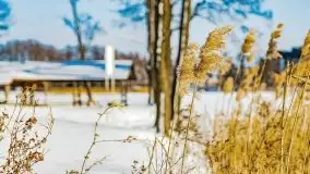 Zimowa Stranda i jezioro Kisajno, styczeń 2022 r. - zdjęcie 15