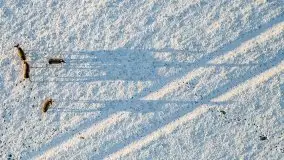 Daniele w okolicach Sztynortu, styczeń 2022 r. - zdjęcie 21