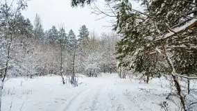 Zimowe widoki, pomiędzy Giżyckiem a Wilkasami - zdjęcie 19