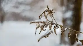 Zimowe widoki, pomiędzy Giżyckiem a Wilkasami - zdjęcie 32