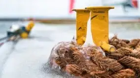 Niegocin i Giżycko skute lodem, grudzień 2020 - zdjęcie 31