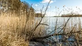 Zimowa sceneria nad plażą przy jeziorze Szóstak - zdjęcie 2
