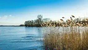 Zimowa sceneria nad plażą przy jeziorze Szóstak - zdjęcie 30