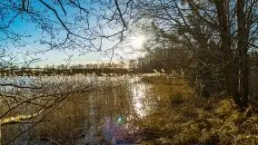 Zimowa sceneria nad plażą przy jeziorze Szóstak - zdjęcie 25