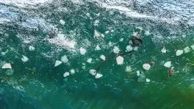 Zimowe jeziora przy Malinówce Wielkiej - zdjęcie 13