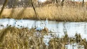 Zimowe jeziora przy Malinówce Wielkiej - zdjęcie 40